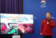 산불예방 범부처 협력 체계 가동…산림청, 2024년 산불방지대책 발표 AI 감시체계 전국 20곳 확대