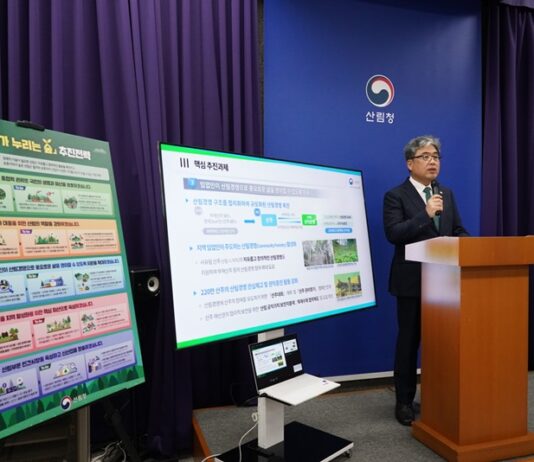 ‘숲 가치’ 모두가 누린다…“기후변화 막고 지역경제 키우고” 탄소흡수원 확대, 산지은행 제도, 산림 공익가치 보전 지불제 도입 등