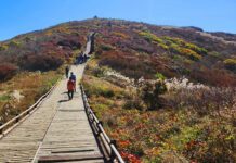 국립공원 탐방로 예약 ‘전화’도 가능…다음달 노고단·우이령 먼저 시행 ..AI 음성기능 활용, 탐방로 자동 전화예약 시작…’1670-9202’번
