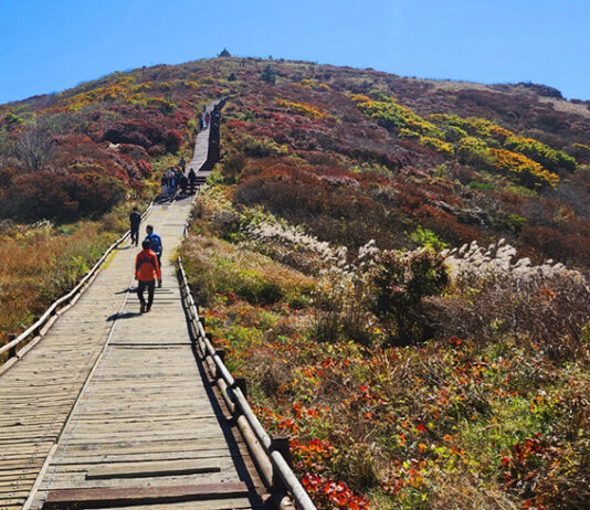 국립공원 탐방로 예약 ‘전화’도 가능…다음달 노고단·우이령 먼저 시행 ..AI 음성기능 활용, 탐방로 자동 전화예약 시작…’1670-9202’번