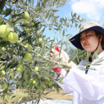 올해 첫 ‘그린바이오 계약학과’ 도입 ,하반기 재교육형 석사과정 개설