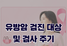 유방암 검진 대상 및 검사 주기